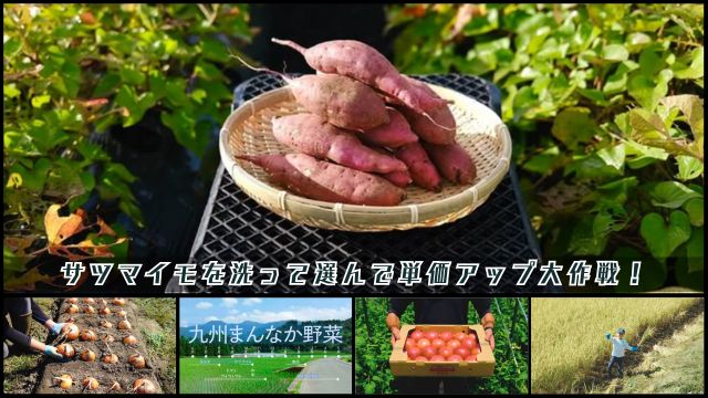 募集開始「輝け！九州まんなか野菜プロジェクト」