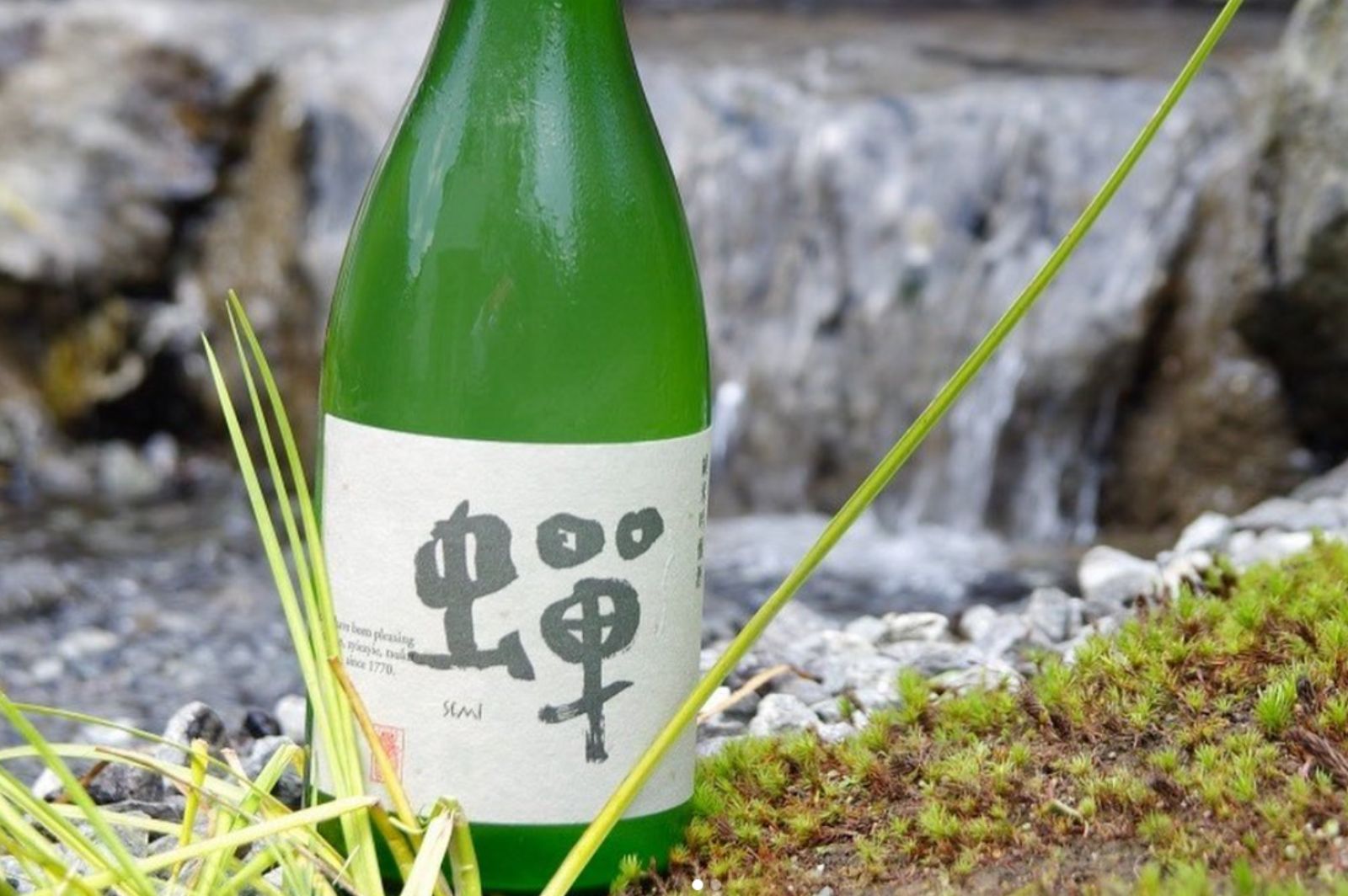 ラインナップ