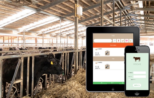 畜産の未来を見守るシステム開発ファンド｜グローカル・クラウドファンディング